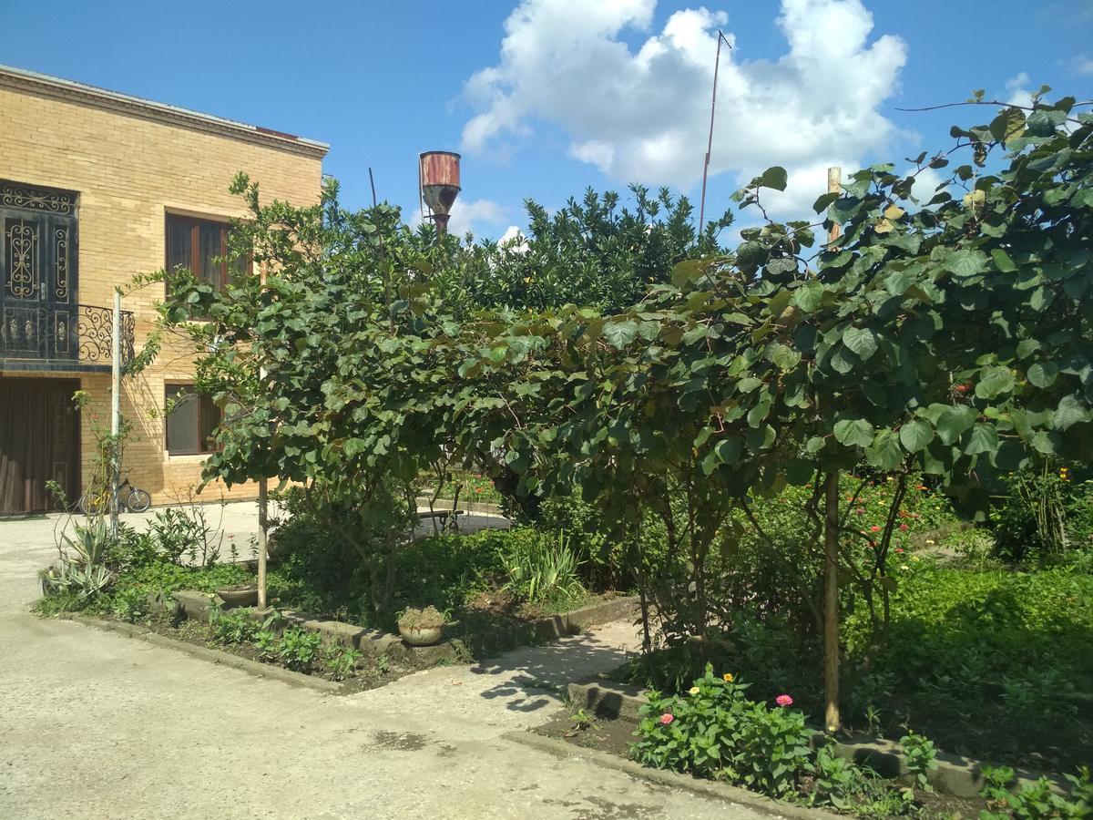 Hotel Gio Samtredia Exterior photo